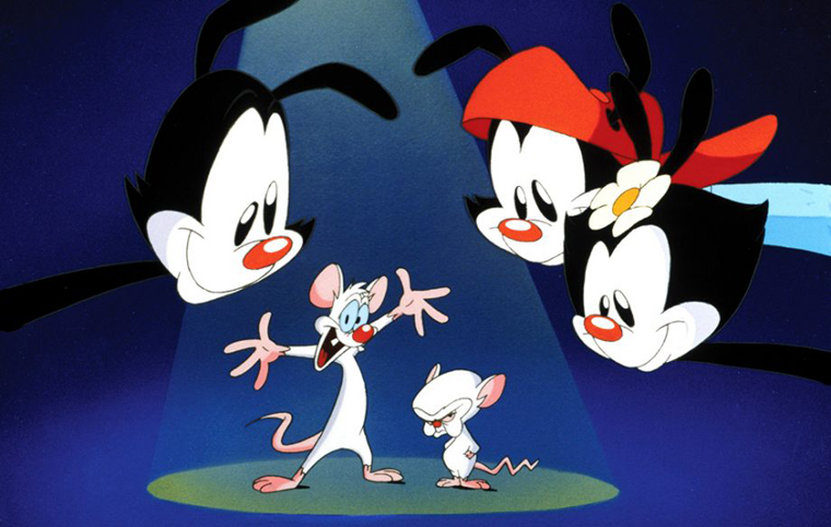 Animaniacs / Pinky and the Brain