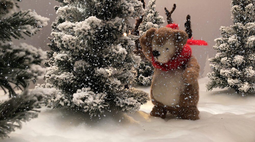 Mr. Bear's Christmas