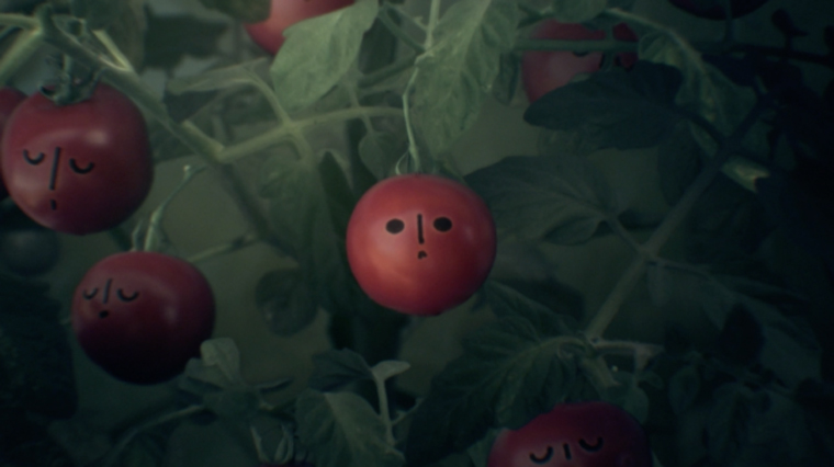 Good Night Little Tomato