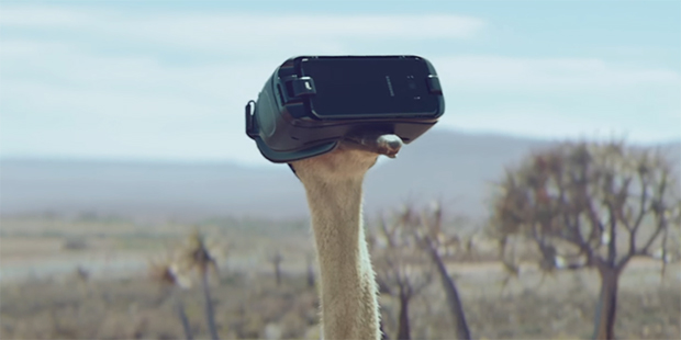 Samsung “Ostrich”