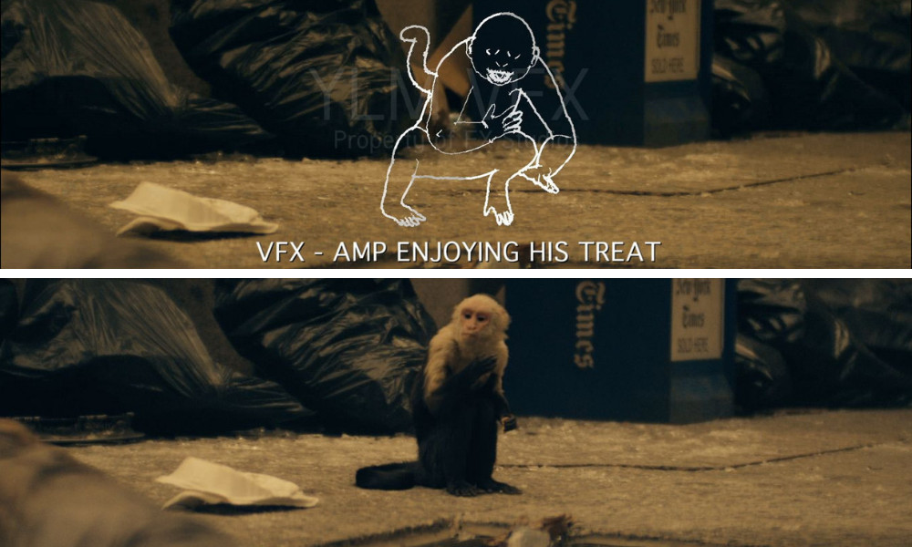 Y: The Last Man shot progression, Amp enjoying his treat (ILM)